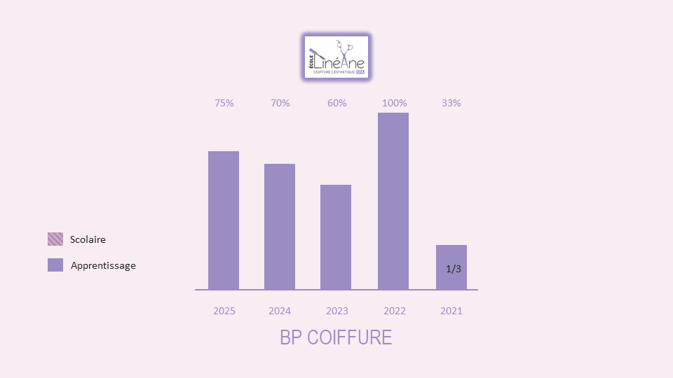 Diagramme Reussite Exam BP Coiffure2025