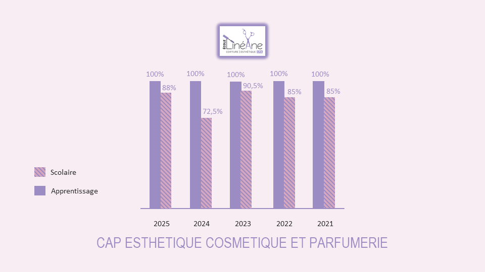 Diagramme Reussite Exam CAP Esthetique2025